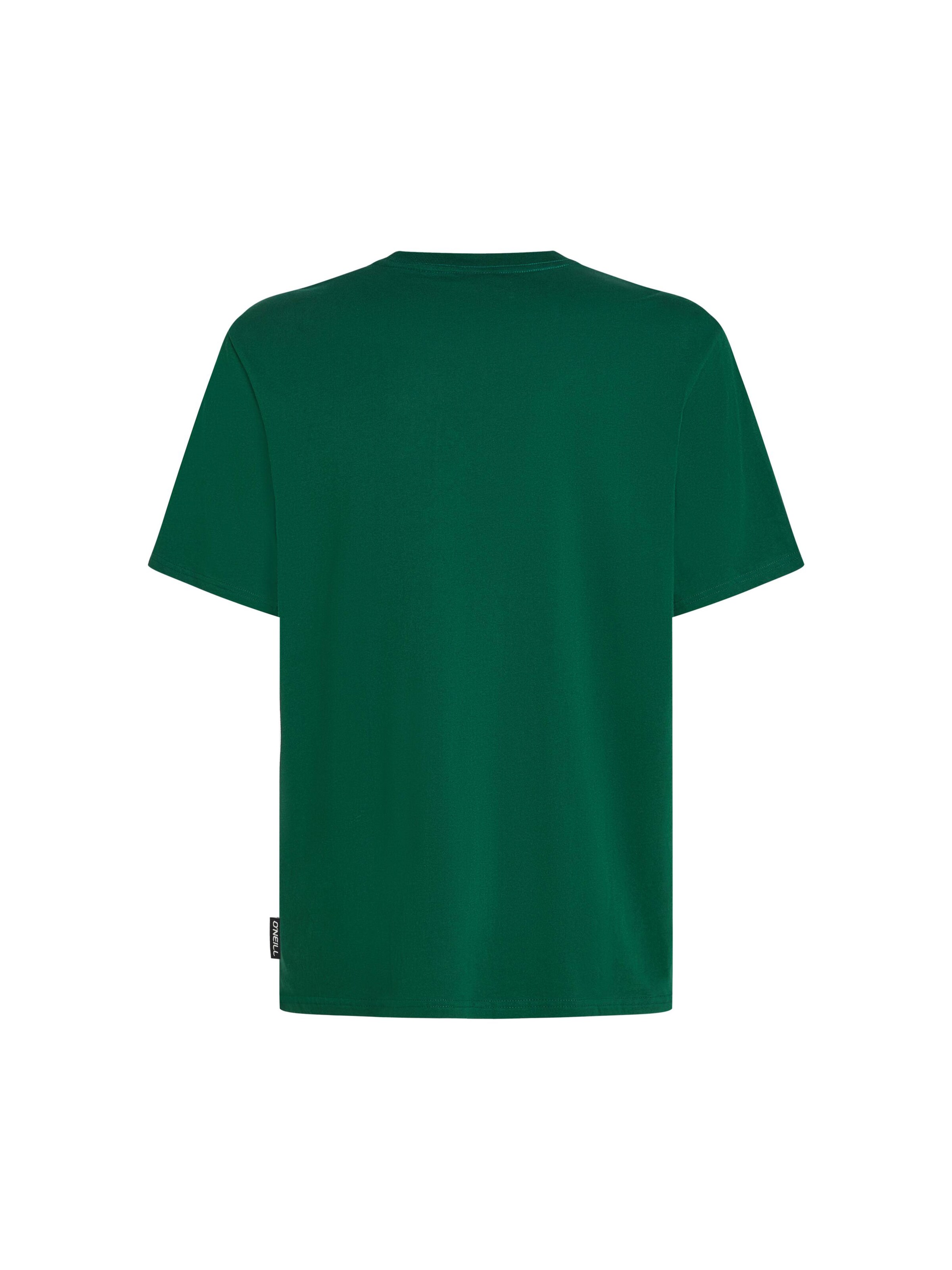 O'NEILL Shirt in Green