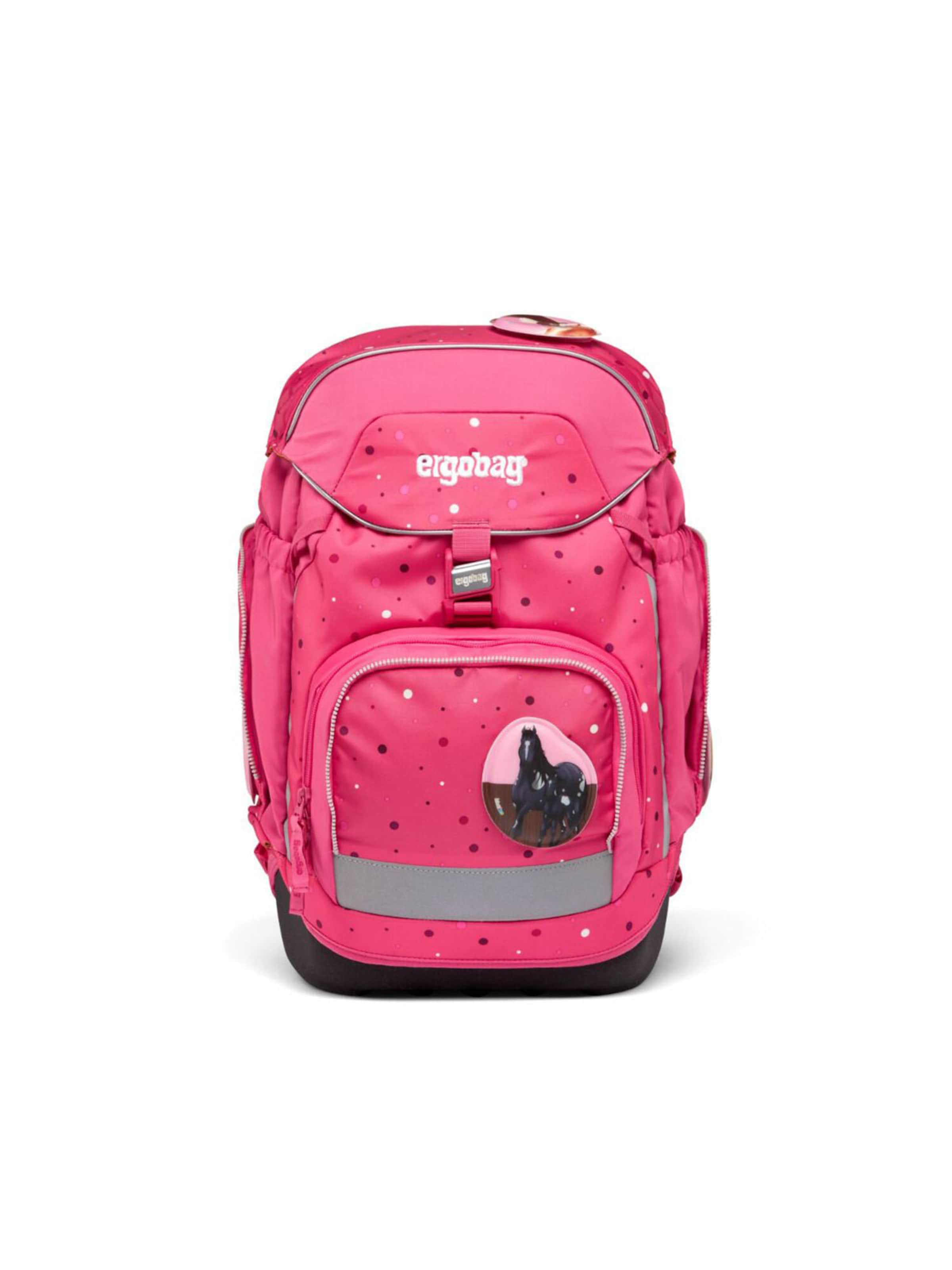 ergobag Rucksack 'Set 6tlg'‌‌‌‌‌‌‌‌‌‌ in Pink