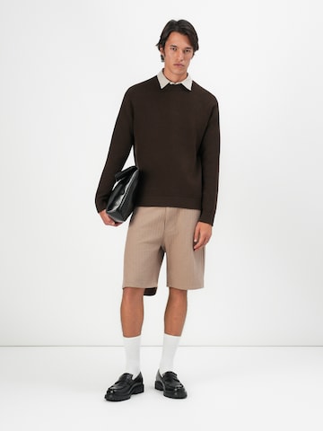 SELECTED Pullover 'SLHDANE' i brun