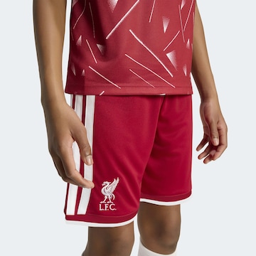 ADIDAS PERFORMANCE - regular Pantalón deportivo 'FC Liverpool 26/27' en rojo