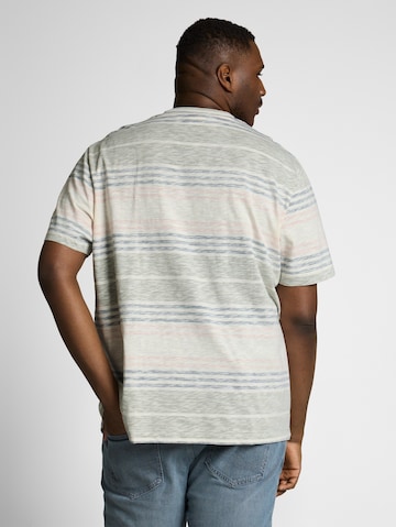 TOM TAILOR Men + Shirt in Grey