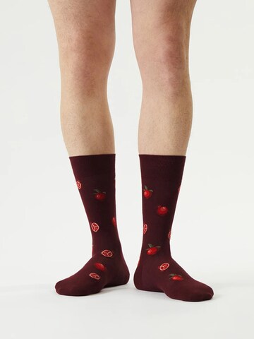 Von Jungfeld Socks 'Best of Icons' in Red