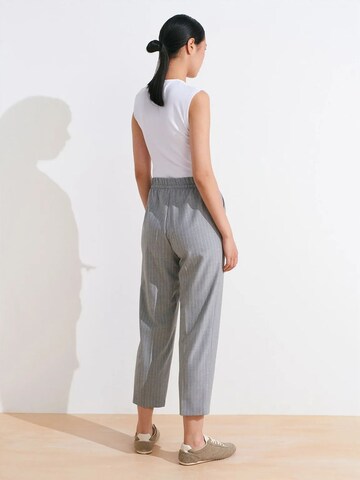 Regular Pantalon Dilvin en gris