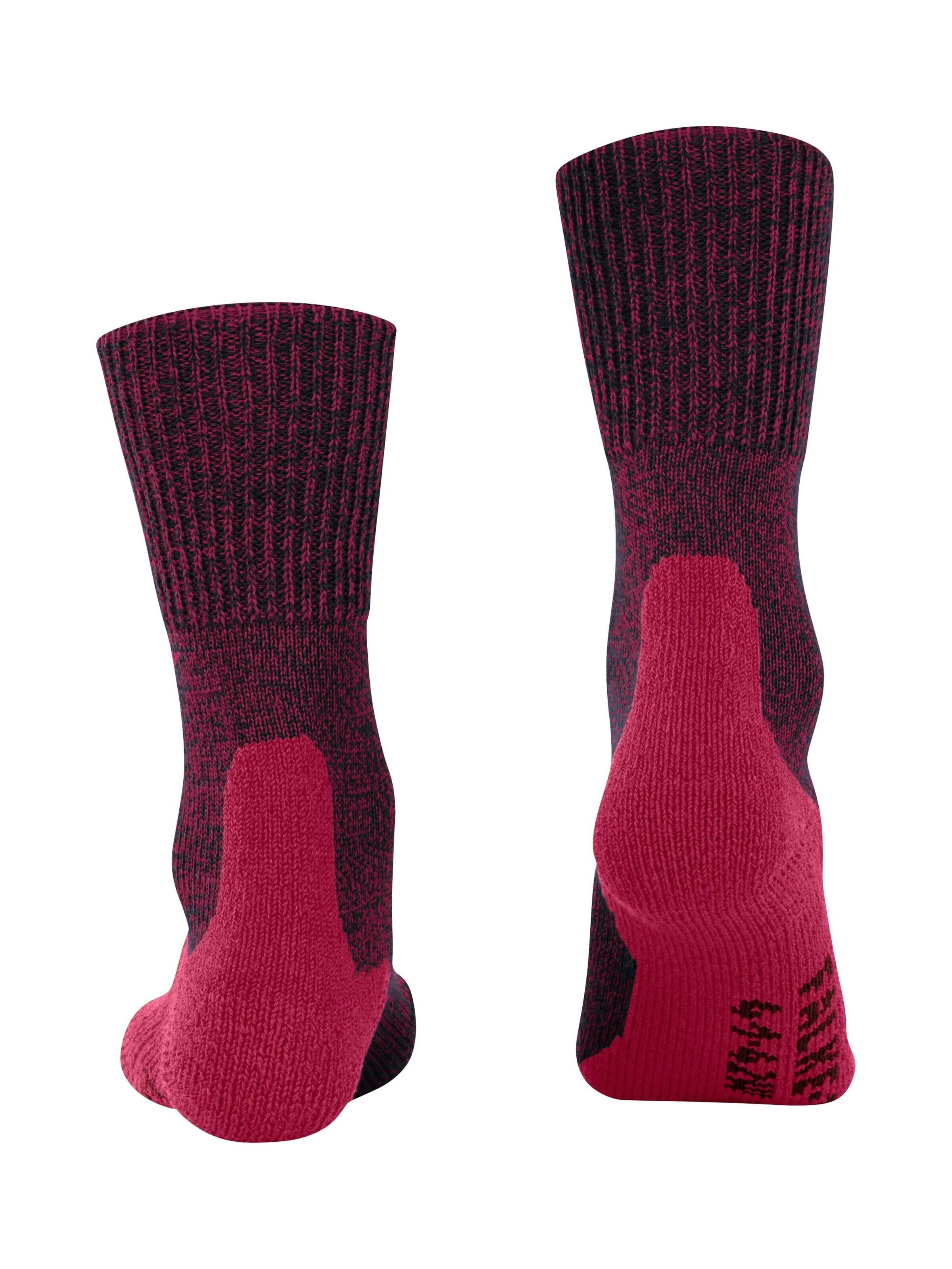 FALKE Athletic Socks 'TK1 Adventure Wool' in Red