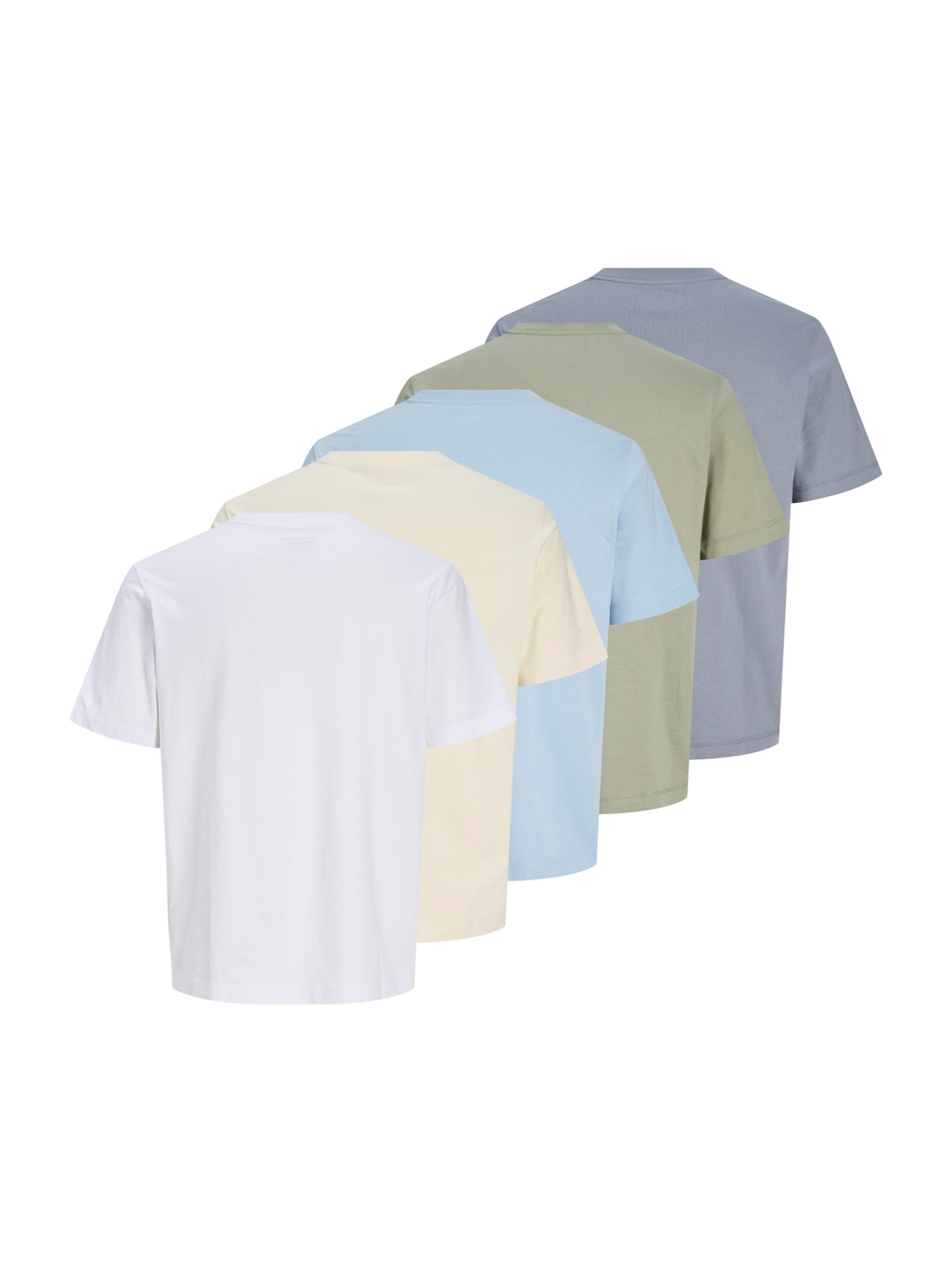 JACK & JONES Shirt 'JORNORREBRO' in Beige