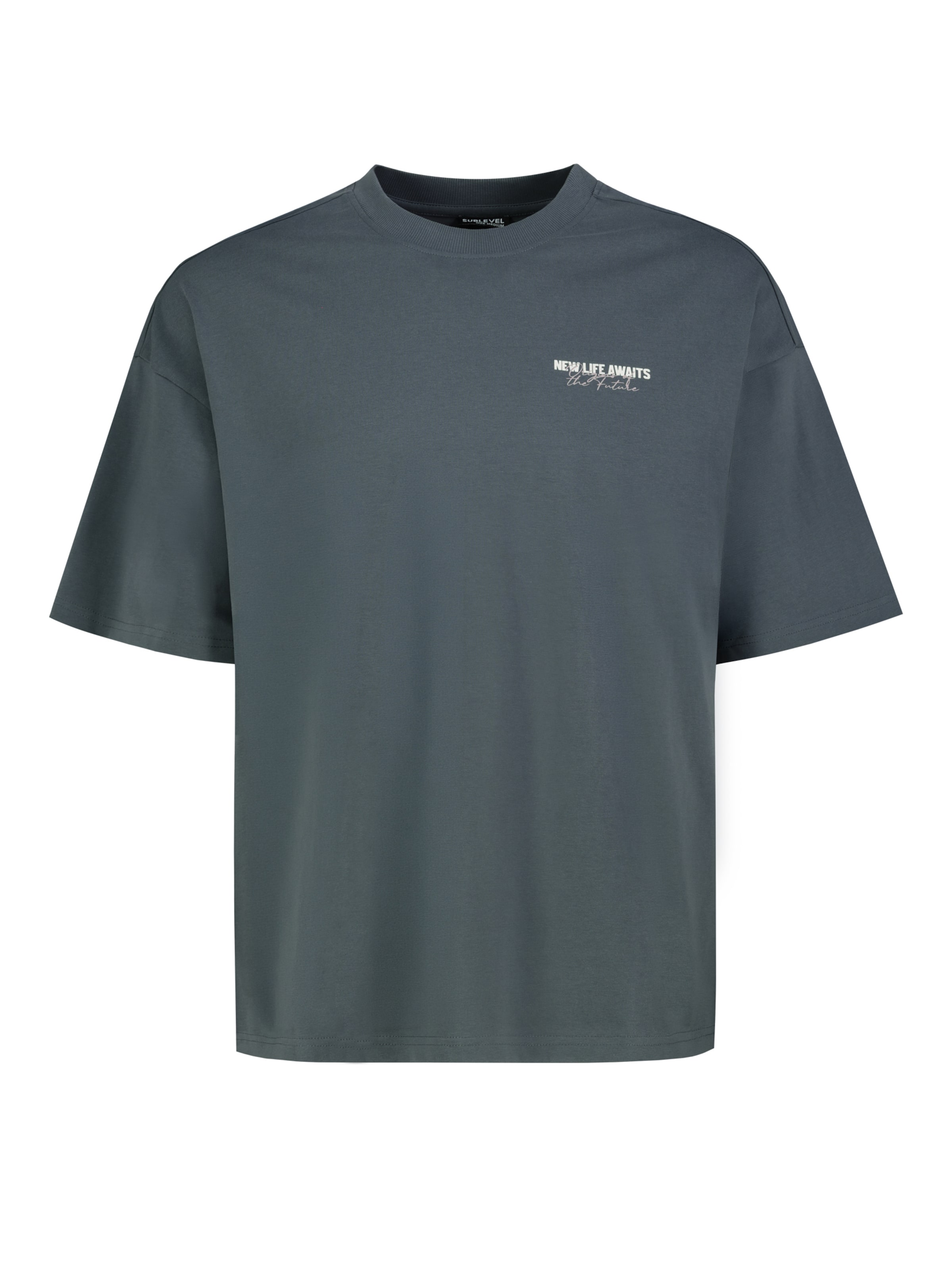 Sublevel Shirt in Blue: front