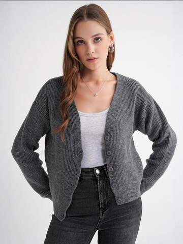MixRay Knit Cardigan in Grey