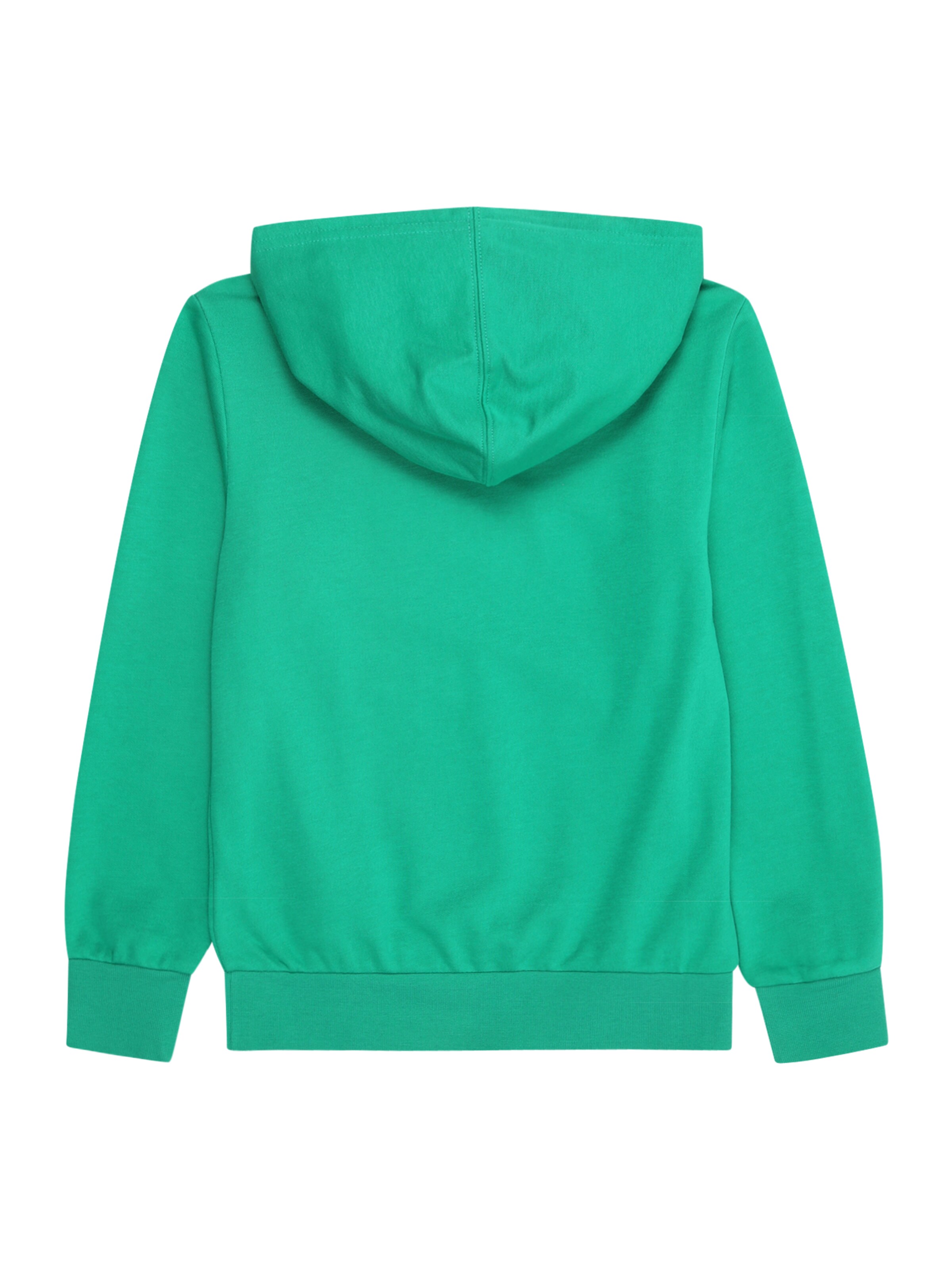 Champion Authentic Athletic Apparel Bluza 'Icons' w kolorze zielony