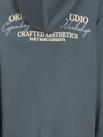 Sweat 'JORIslington' Jack & Jones Junior en gris