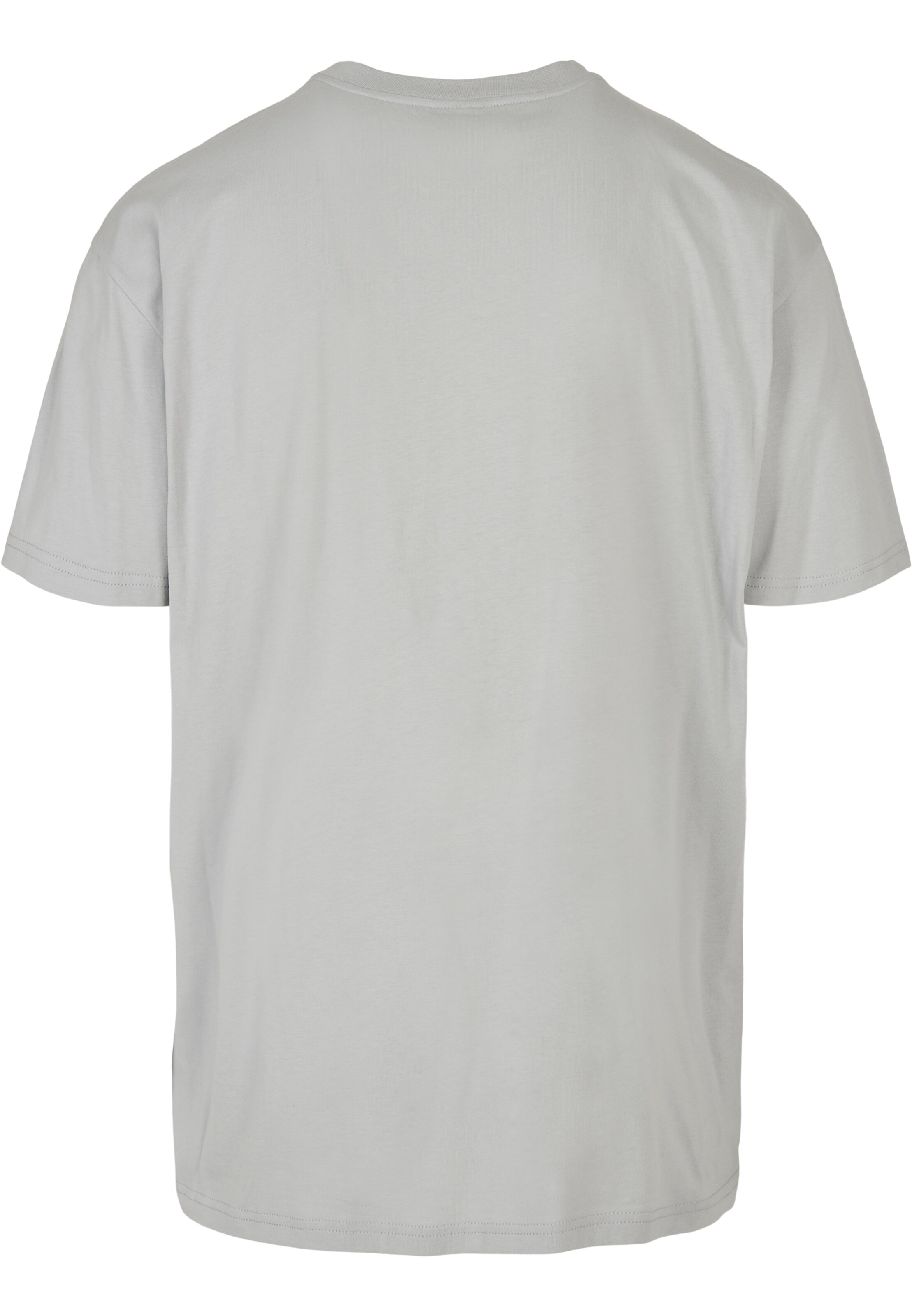 Männer Shirts SOUTHPOLE T-Shirt in Hellgrau - QM39319 Männer Shirts SOUTHPOLE T-Shirt in Hellgrau - QM39319