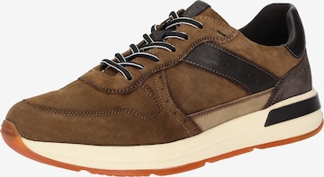 SIOUX Sneakers laag ' Rojaro-719 ' in Bruin: voorkant