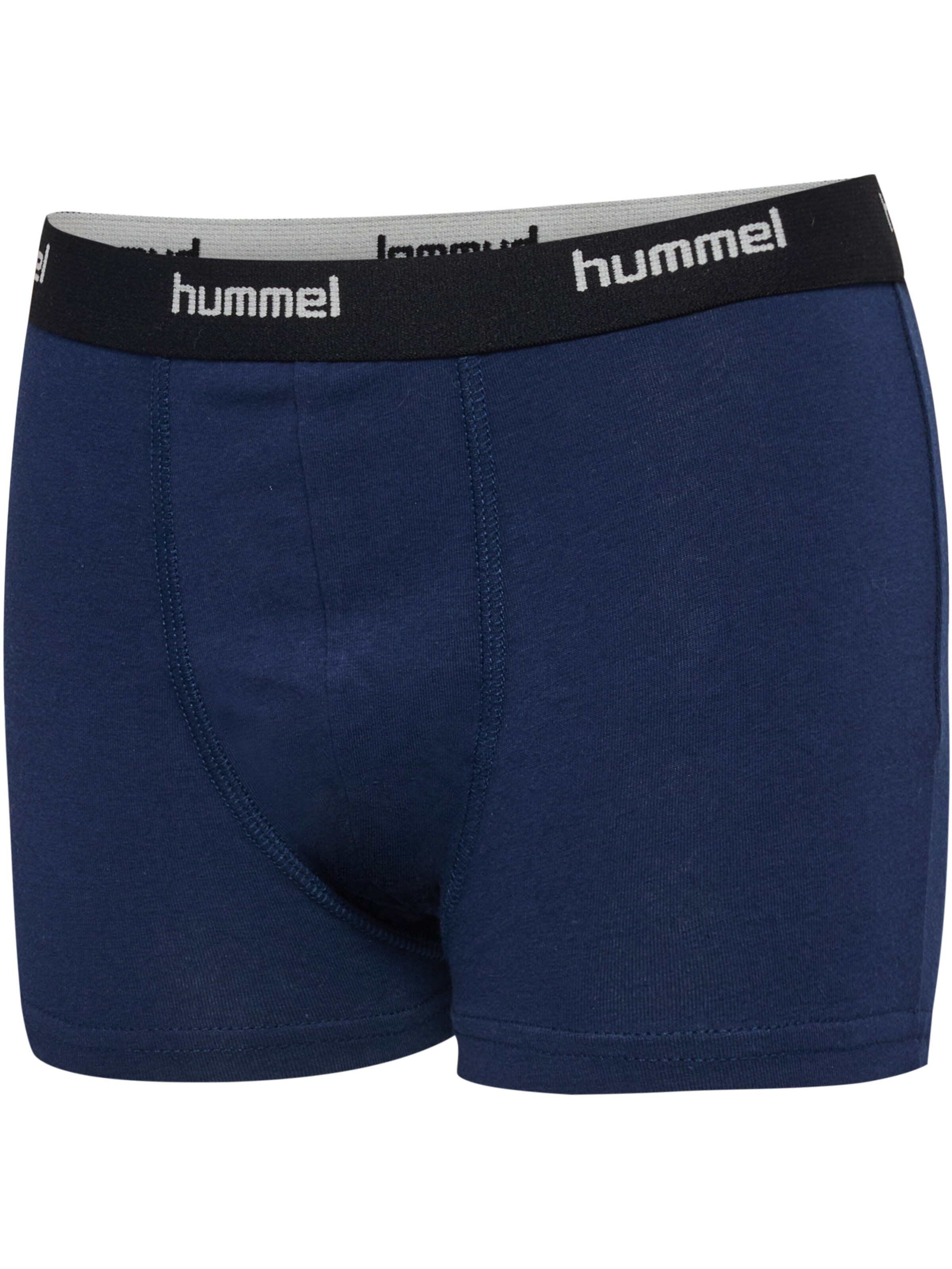 Hummel Underpants 'Nalle' in Blue
