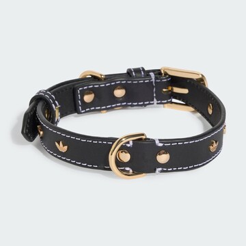 ADIDAS ORIGINALS - Acessórios para animais 'PET' em preto