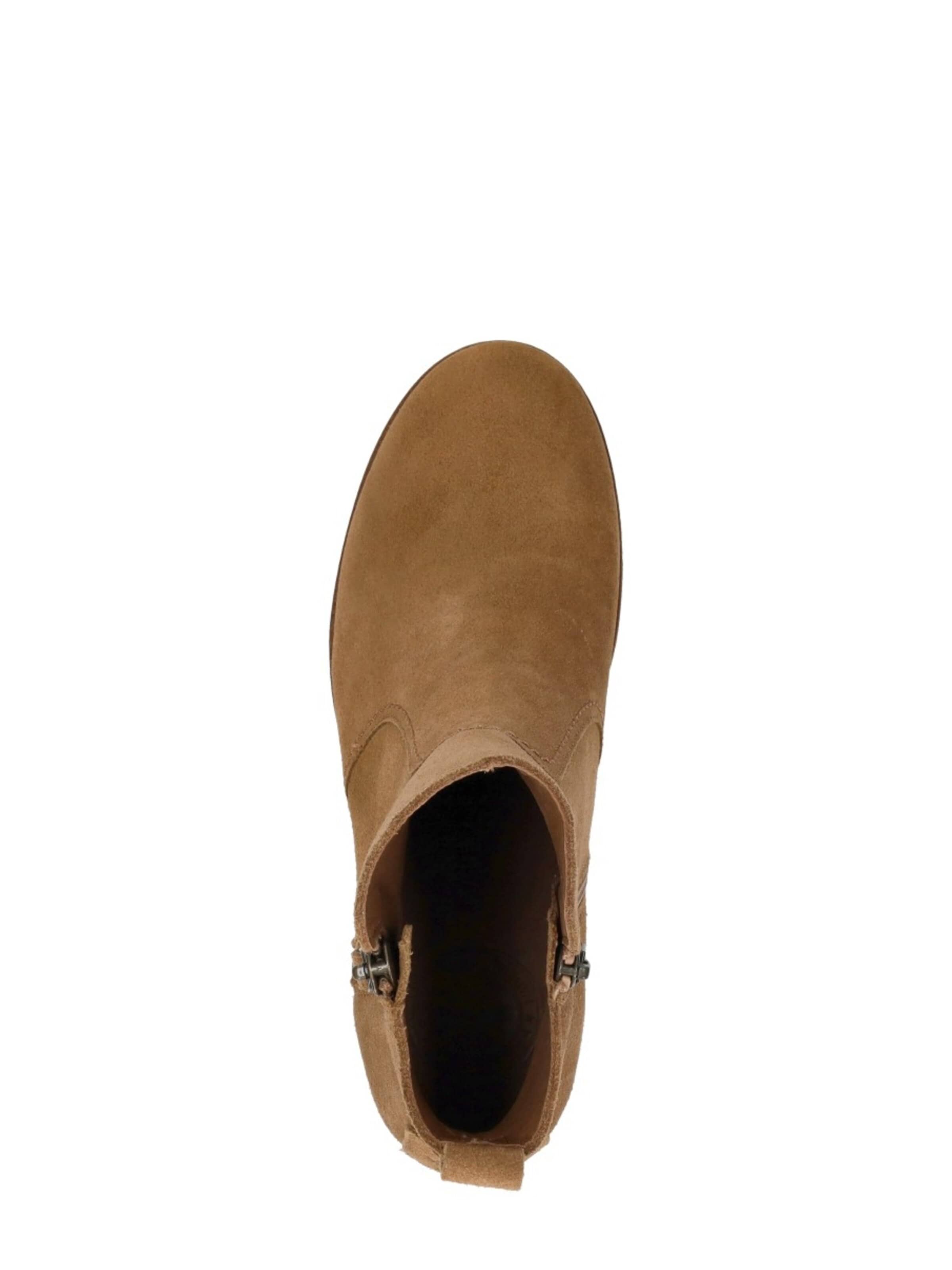 PANAMA JACK Ankle Boots‌‌‌ in Braun