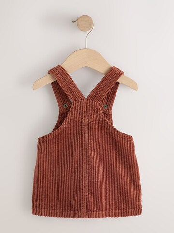 Next Skirt in Brown