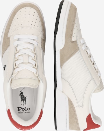 Polo Ralph Lauren Låg sneaker i blandade färger