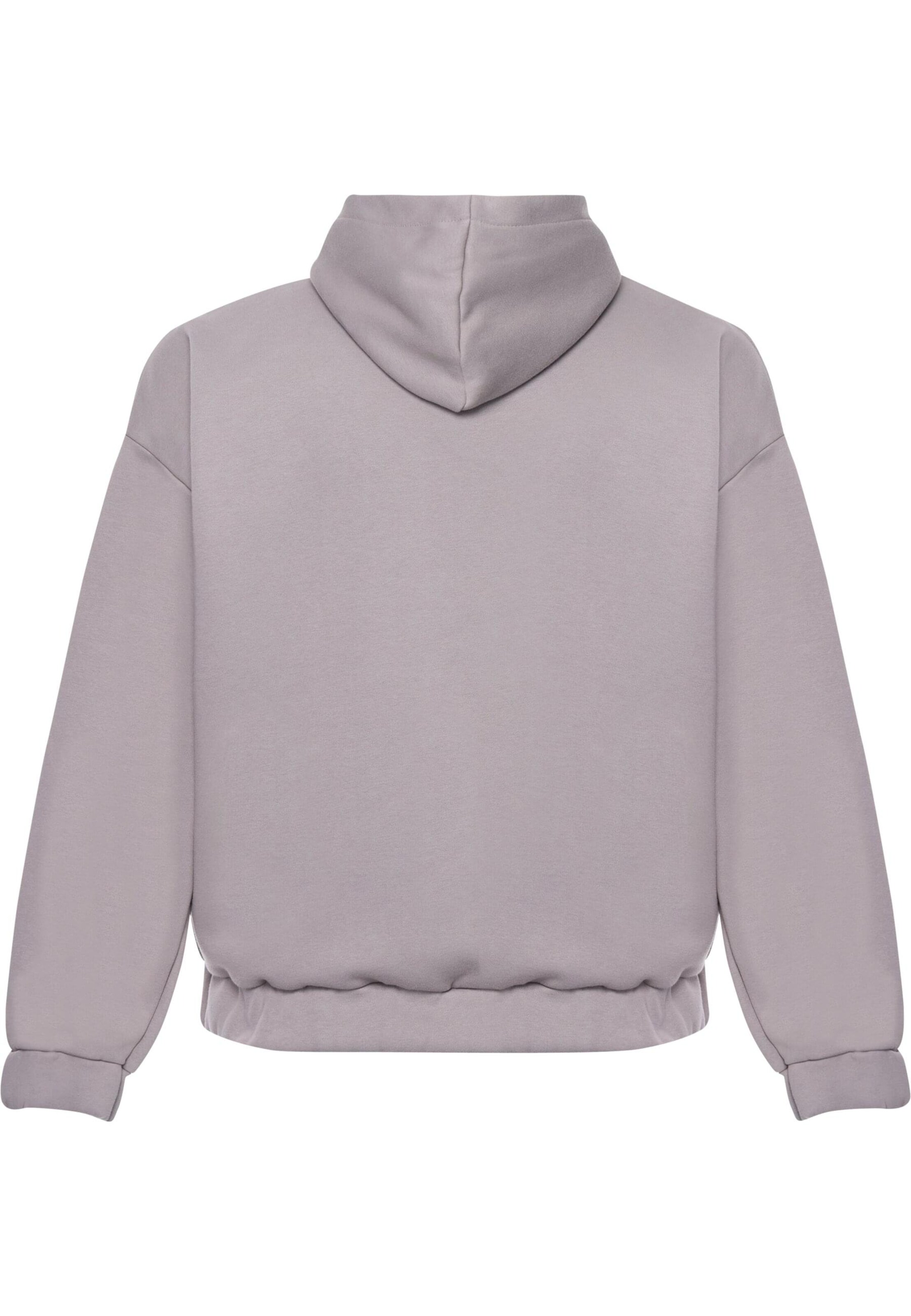 Dropsize Sweat jacket in Grey