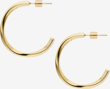 Liebeskind Berlin Earrings 'LJ-0366-E-32' in Gold