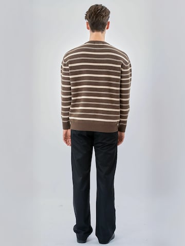 TEESHOPPEN Trui ' Striped ' in Bruin: terug