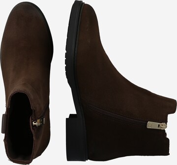 TOMMY HILFIGER Booties in Brown