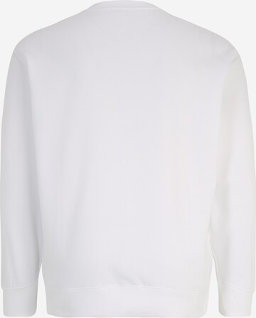 Polo Ralph Lauren Big & Tall Sweatshirt in White