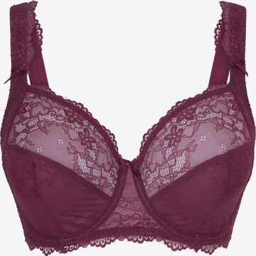 Soutien-gorge LingaDore en violet : devant