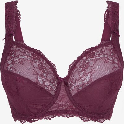 LingaDore Soutien-gorge en baie, Vue avec produit