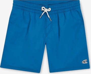 Shorts de bain 'Vert 14' O'NEILL en bleu : devant