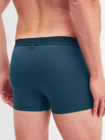 CALIDA Boxer shorts 'Focus' in Green