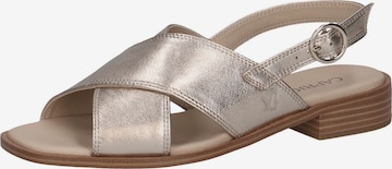 CAPRICE Sandale in Braun: Vorderseite