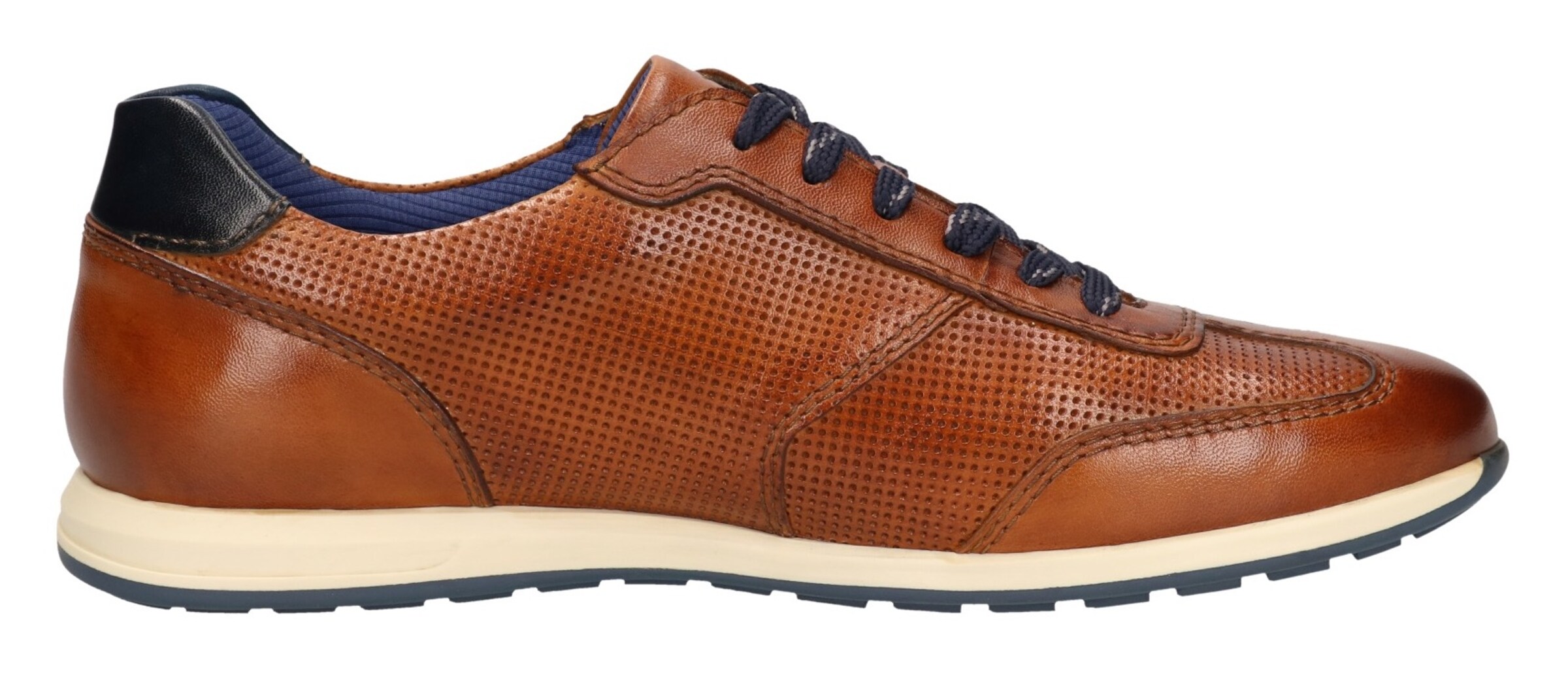 bugatti Sneakers in Bronze