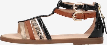 GEOX Sandals in Mixed colors