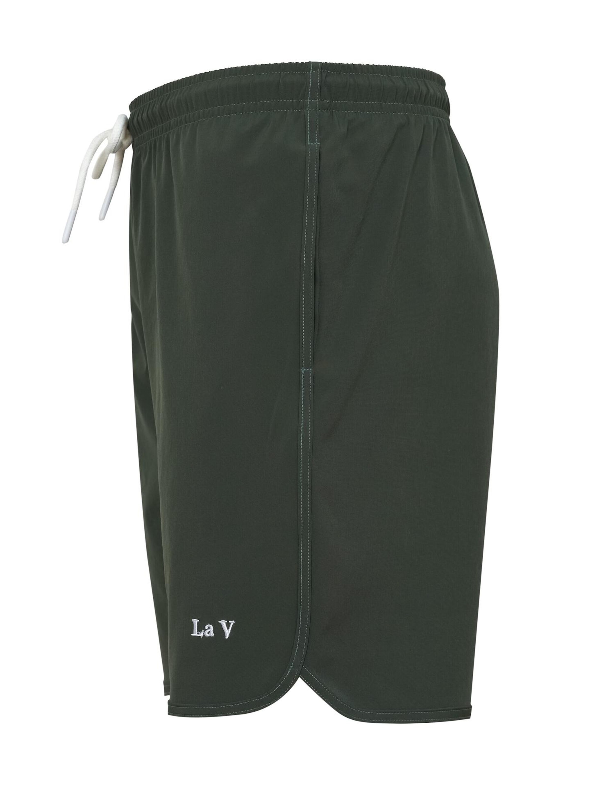 La V Swimming shorts in Green