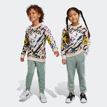 Survêtement ADIDAS ORIGINALS en vert : devant