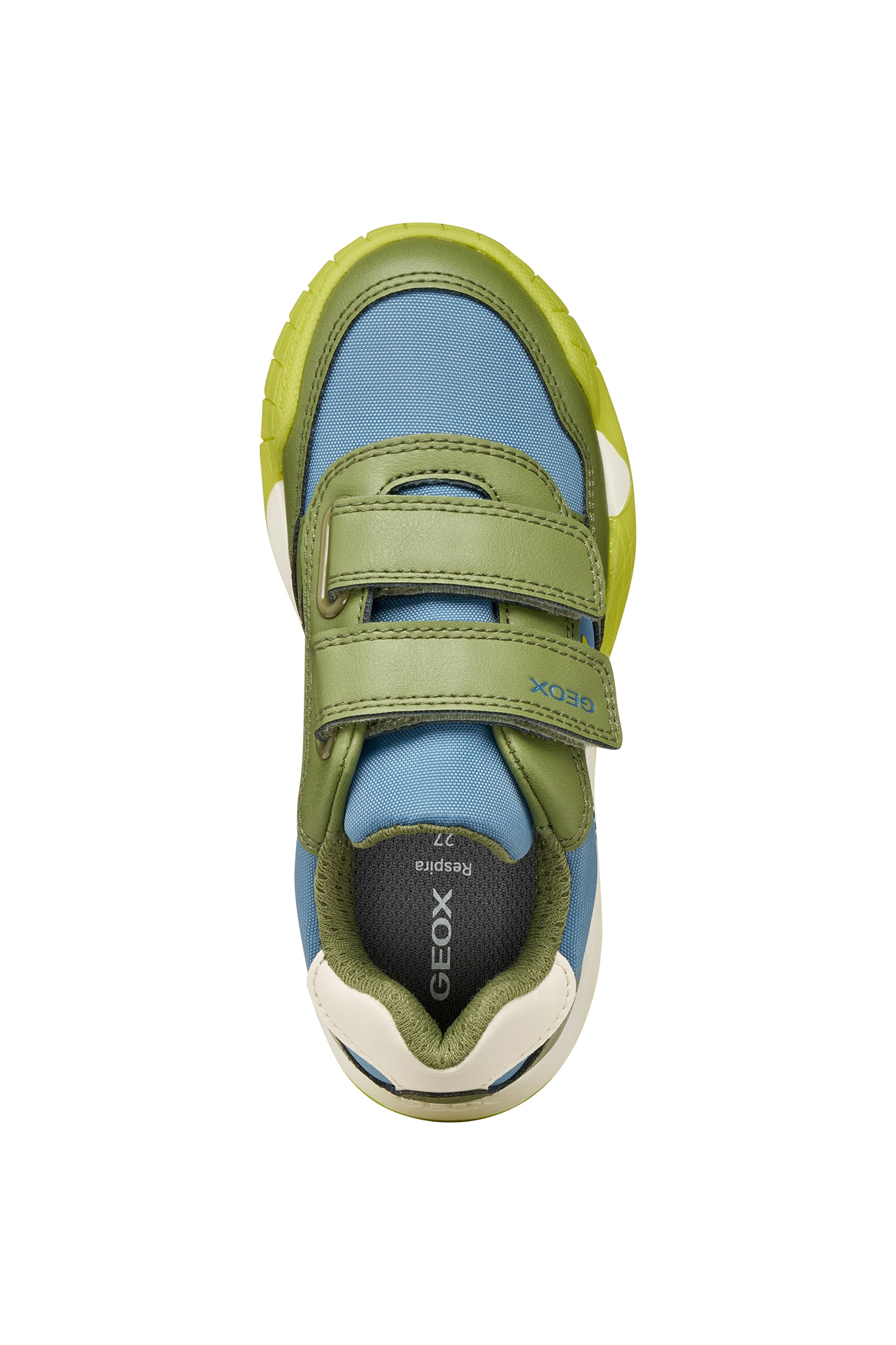 GEOX Sneakers in Blue
