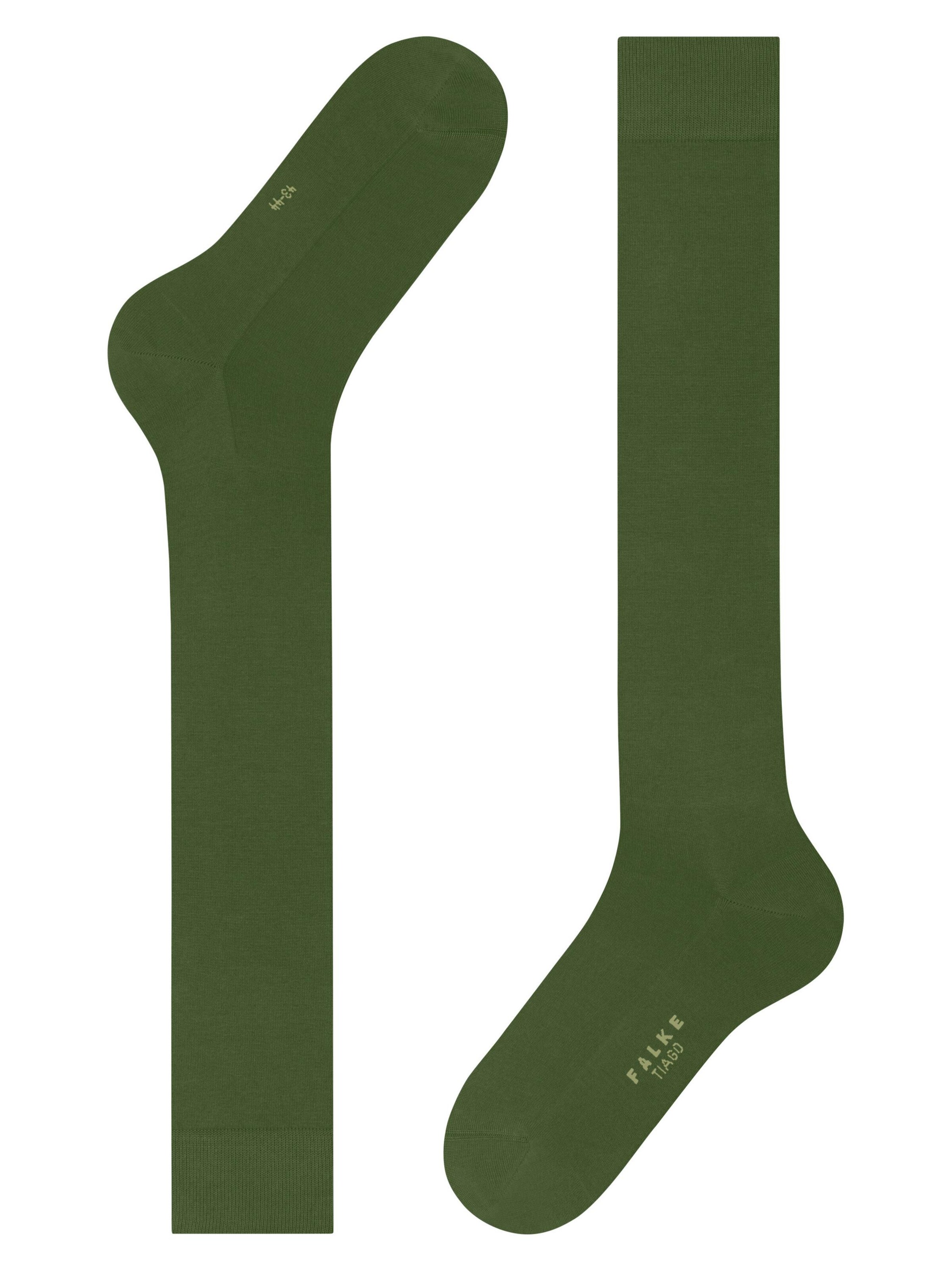 FALKE Knee High Socks 'Tiago' in Green