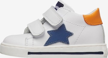 Falcotto Sneakers 'SASHA VL' in Orange: front