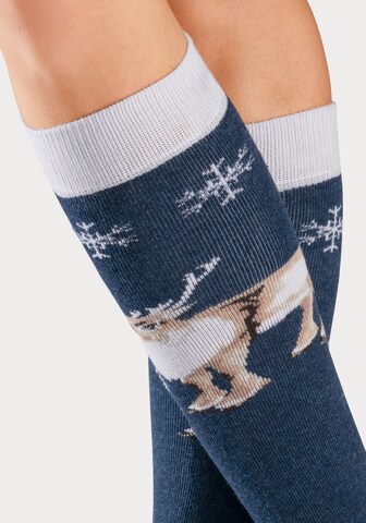 BENCH Athletic Socks in Blue
