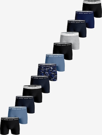 BJÖRN BORG Sports underpants in Blue: front