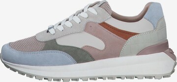 s.Oliver Sneaker low in Mischfarben