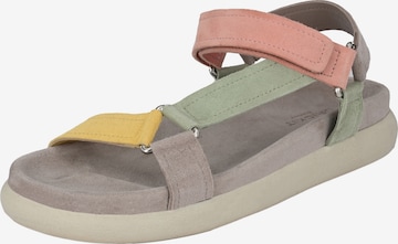 Crickit Strap Sandals 'Jeske' in Mixed colors: front