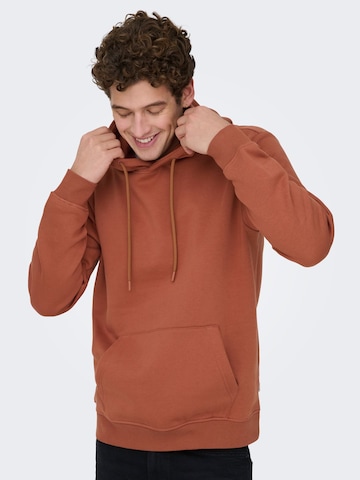 Only & Sons Sweatshirt 'ONSConnor' in Braun