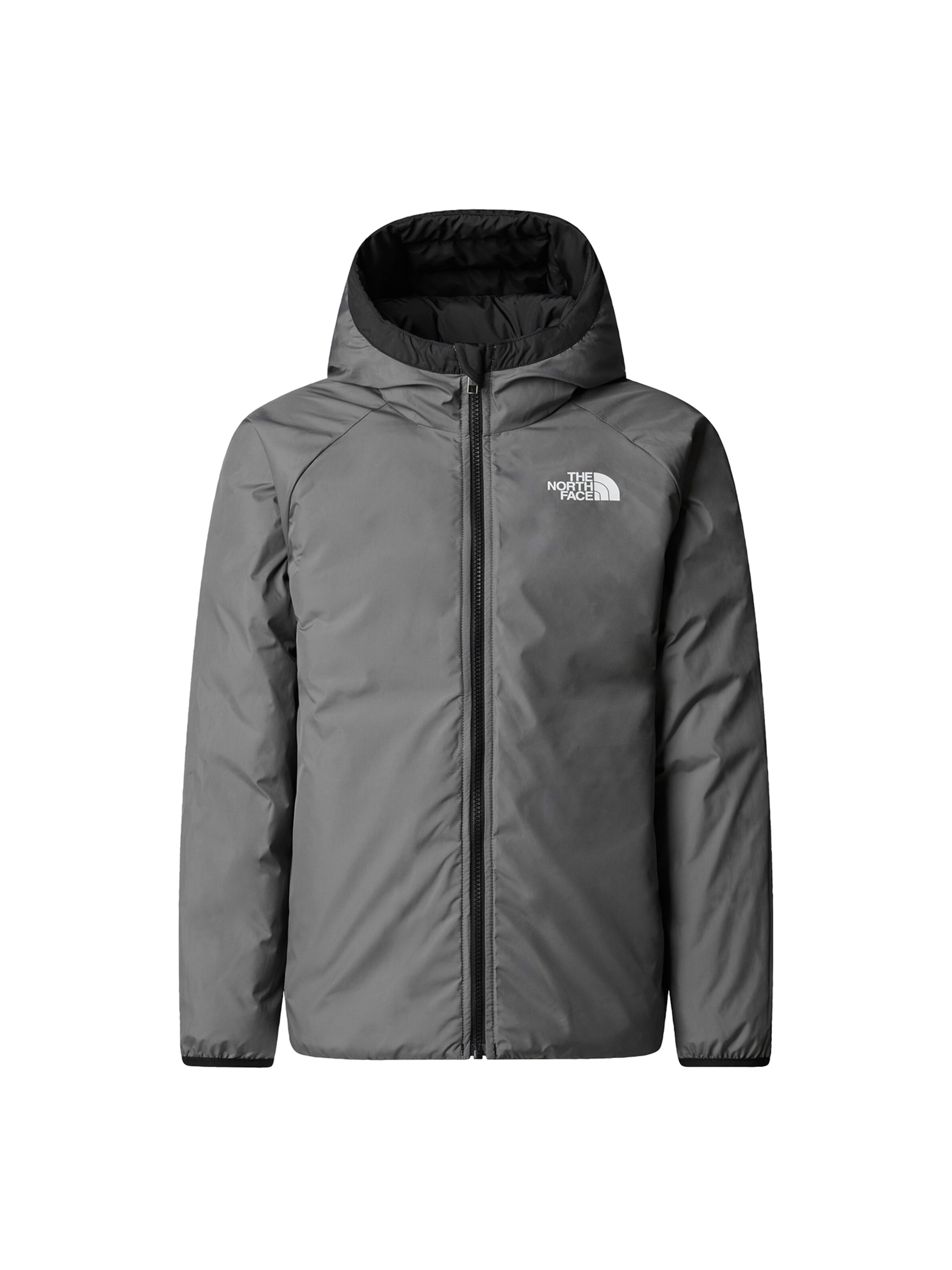 Veste outdoor 'Perrito' THE NORTH FACE en noir