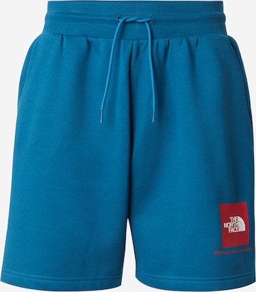 Pantaloni di THE NORTH FACE in blu: frontale