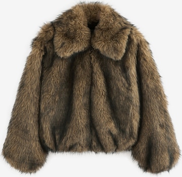 Next Winterjas in Bruin: voorkant