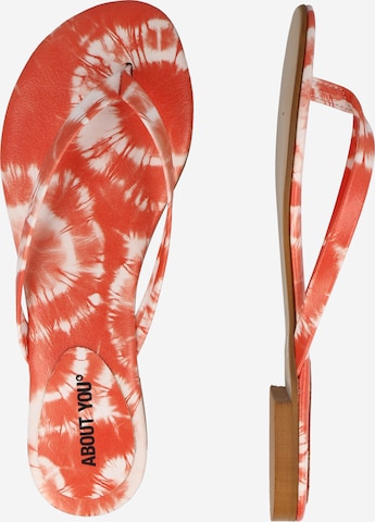 ABOUT YOU T-bar sandals 'Lucia' in Orange