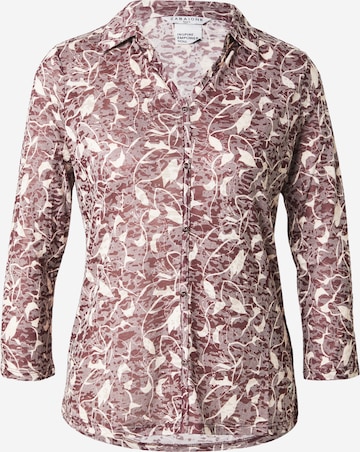 ZABAIONE Shirt 'Co44ileen' in Rot: Vorderseite
