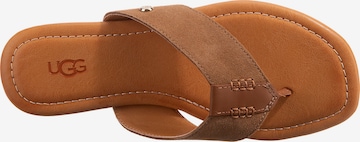 UGG T-bar sandals 'Carey' in Brown