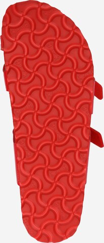BIRKENSTOCK Flip-Flops 'Mayari' i rød