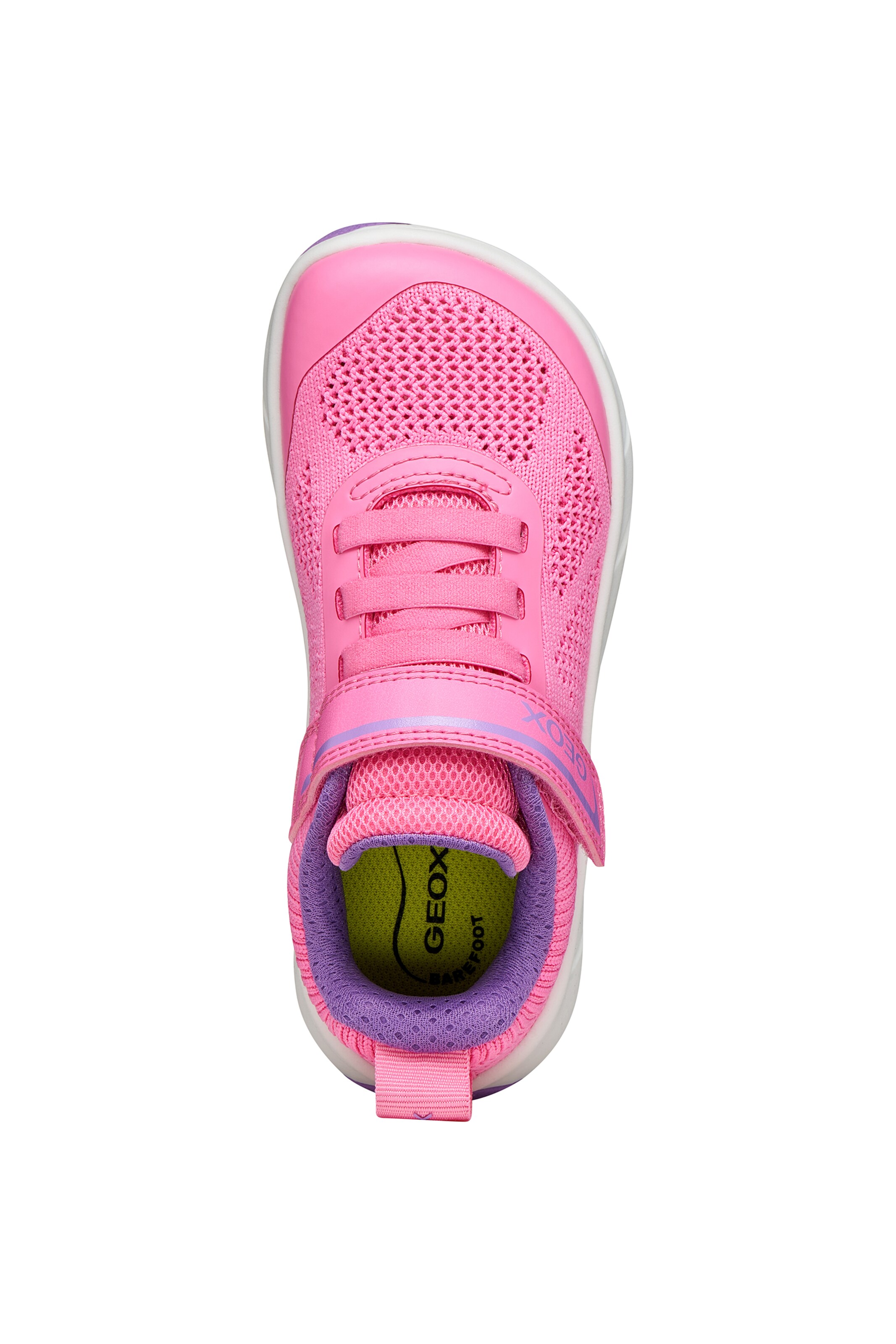 GEOX Sneaker in Pink
